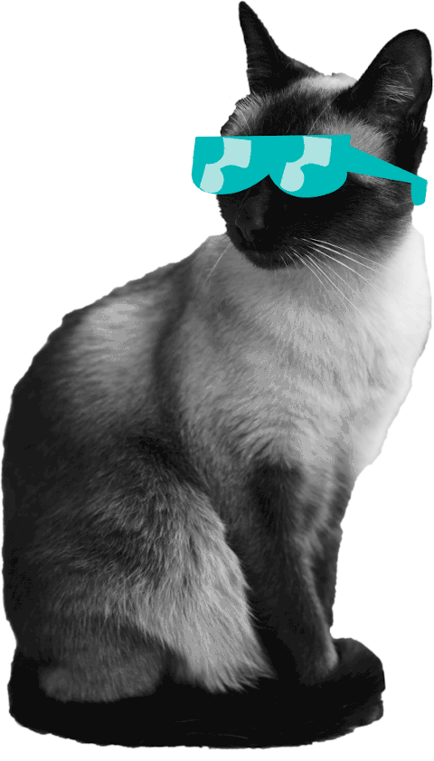 Cat with glasses