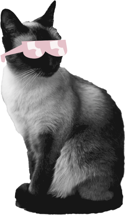 Cat with glasses